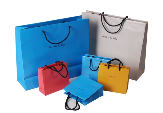 Eco Friendly Paper  bag with customized size and logo printed